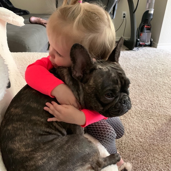 Wonder who the boss is here 😇 - Picture 4 of 8